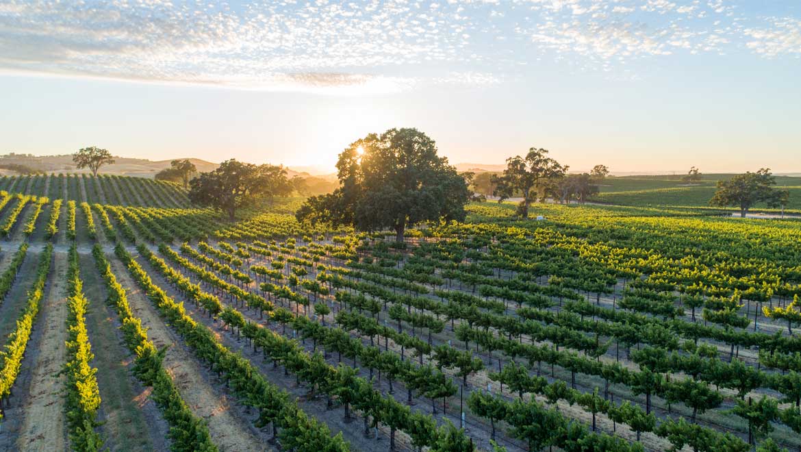 winery