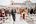 Mount Washington Weddings